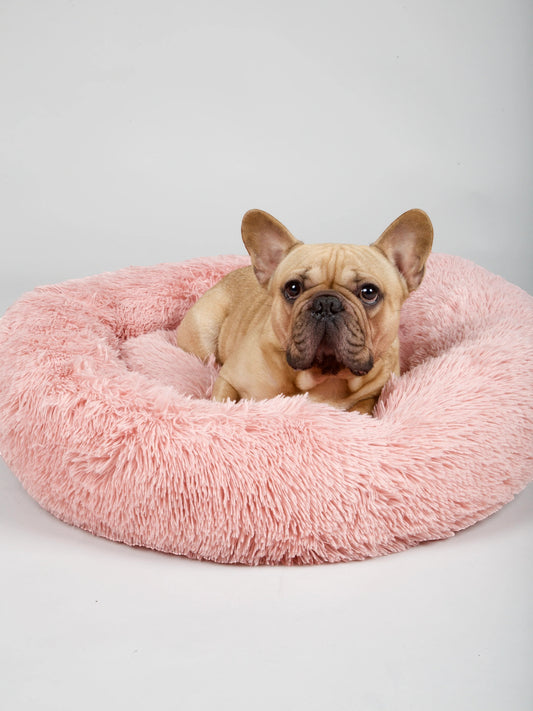 Panier Douillet Ultra Confort – Le cocon parfait pour votre chien