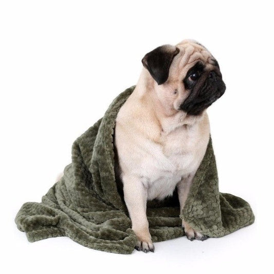 Animoo soft green fleece pet blanket, 70x100cm, perfect for dogs and cats.