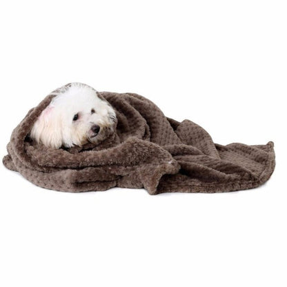 Couverture Douce Animoo – Le cocon de chaleur parfait pour votre animal
