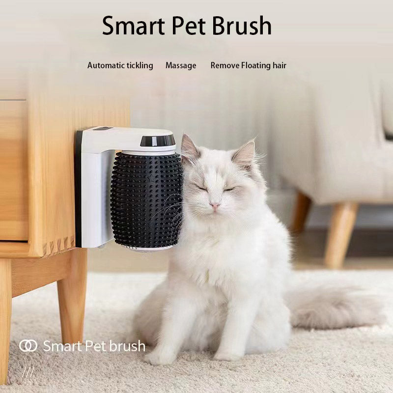 Brosse Anti-Poils Magique – Fini les poils partout à la maison