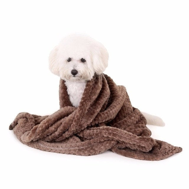 Couverture Douce Animoo – Le cocon de chaleur parfait pour votre animal