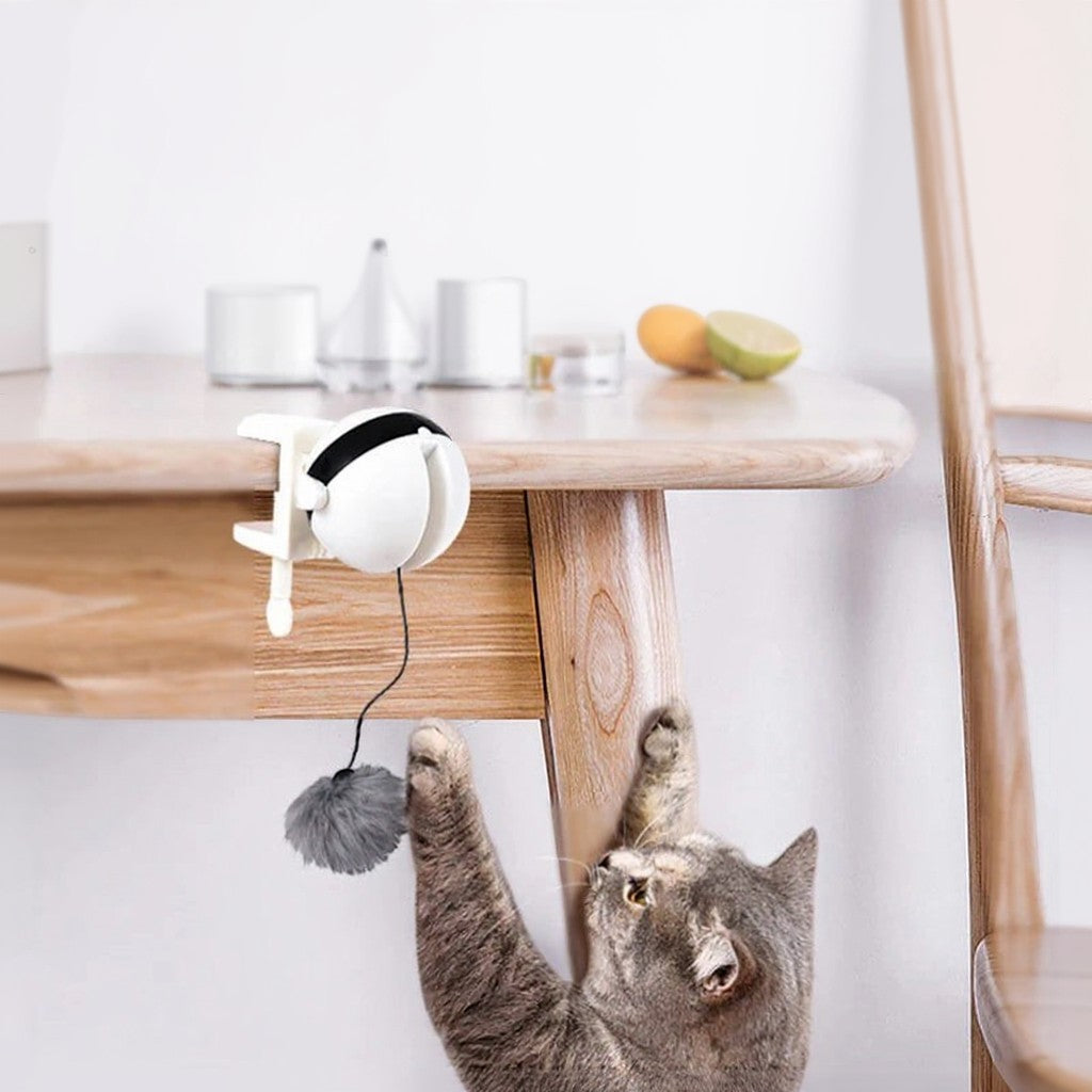 Animoo automatic interactive cat toy with a grey pompom, clips to table for playtime.