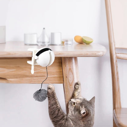 Animoo automatic interactive cat toy with a grey pompom, clips to table for playtime.