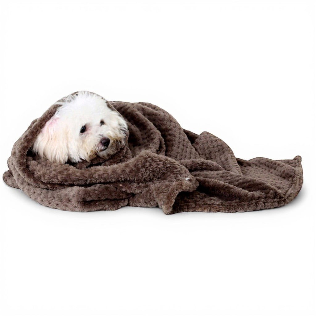 Animoo brown soft flannel pet blanket, 70x100cm, perfect for cats and dogs.