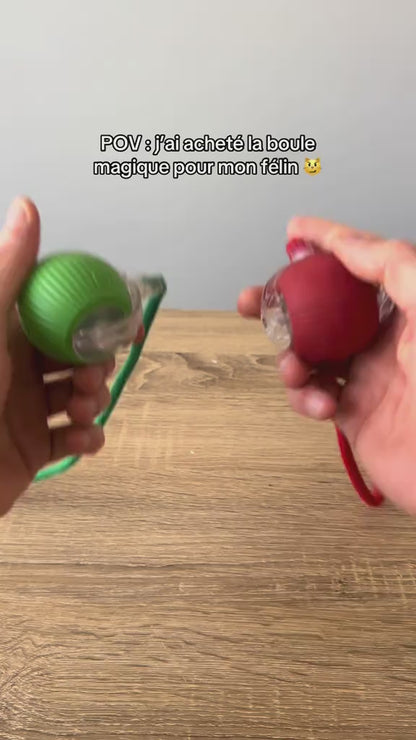 Magicball Animoo. Le jouet qui rend ton chat accro en 5 minutes !
